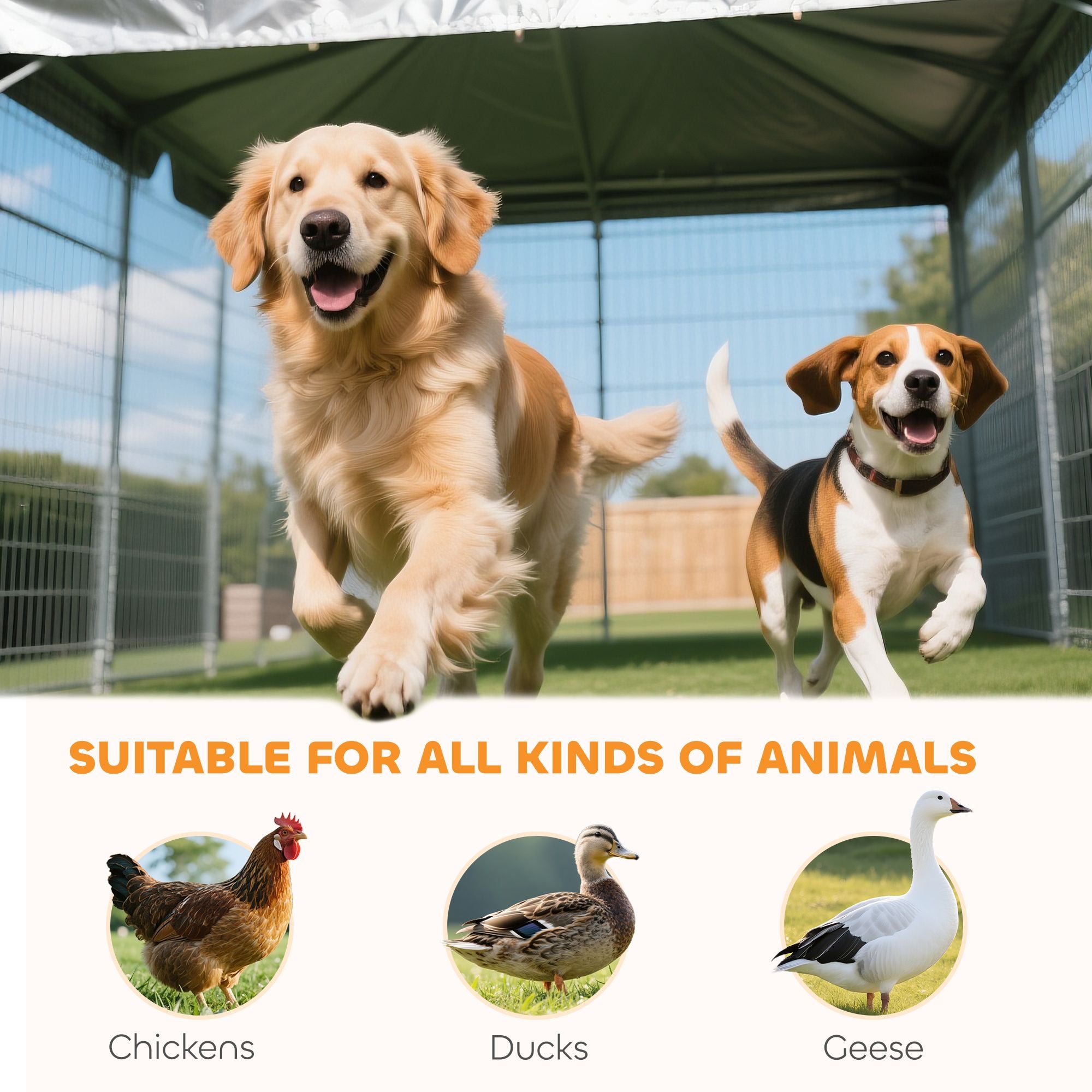 Spacious Outdoor Dog Kennel with Canopy and Rotating Bowl