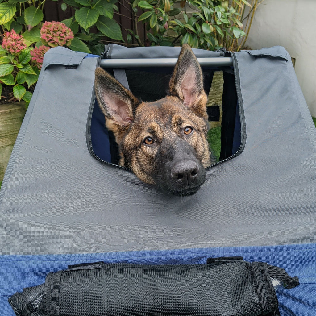 Take Your Pup on Every Adventure with Our Pet Bike Trailer