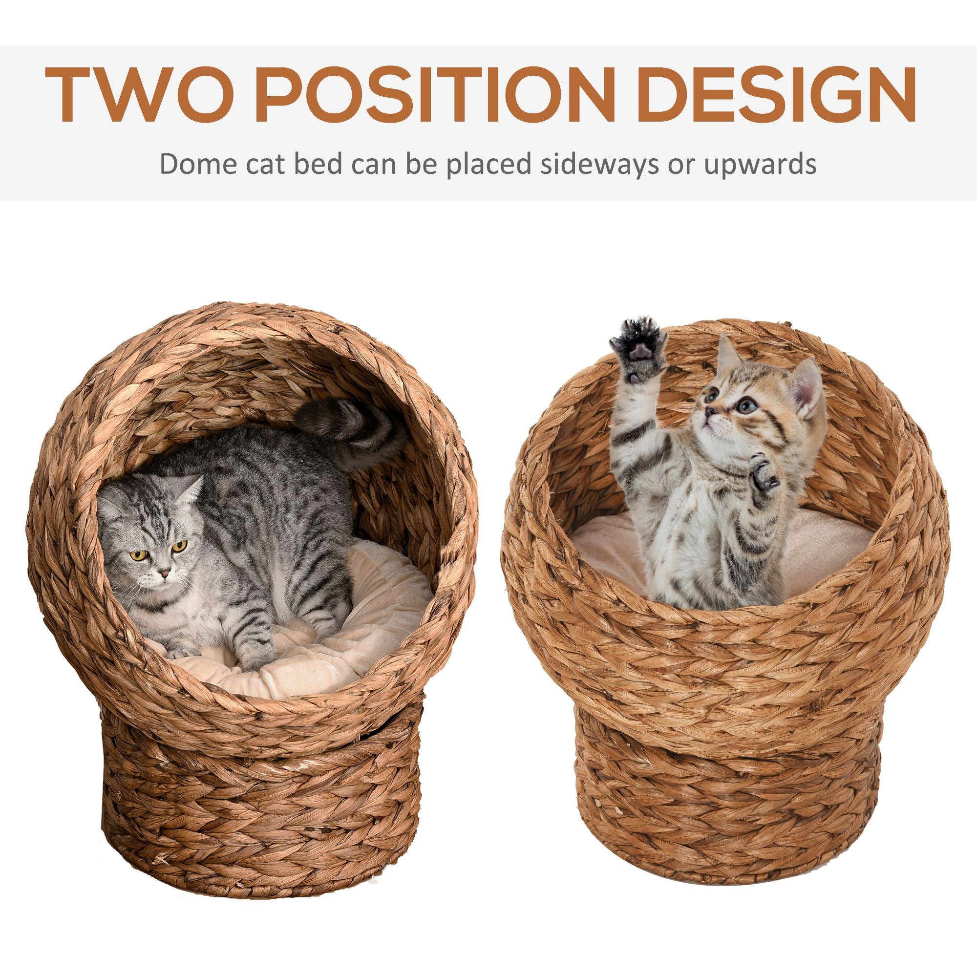 Pet Cat Bed/Cat House