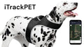 Real-Time GPS Tracking for Your Pet – Affordable & Comfortable Harness