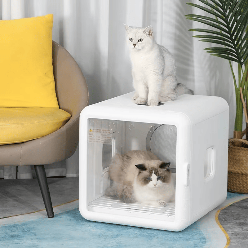 Pet Dryer 70L with UV/Ozone Sterilization & Dual Air Circulation