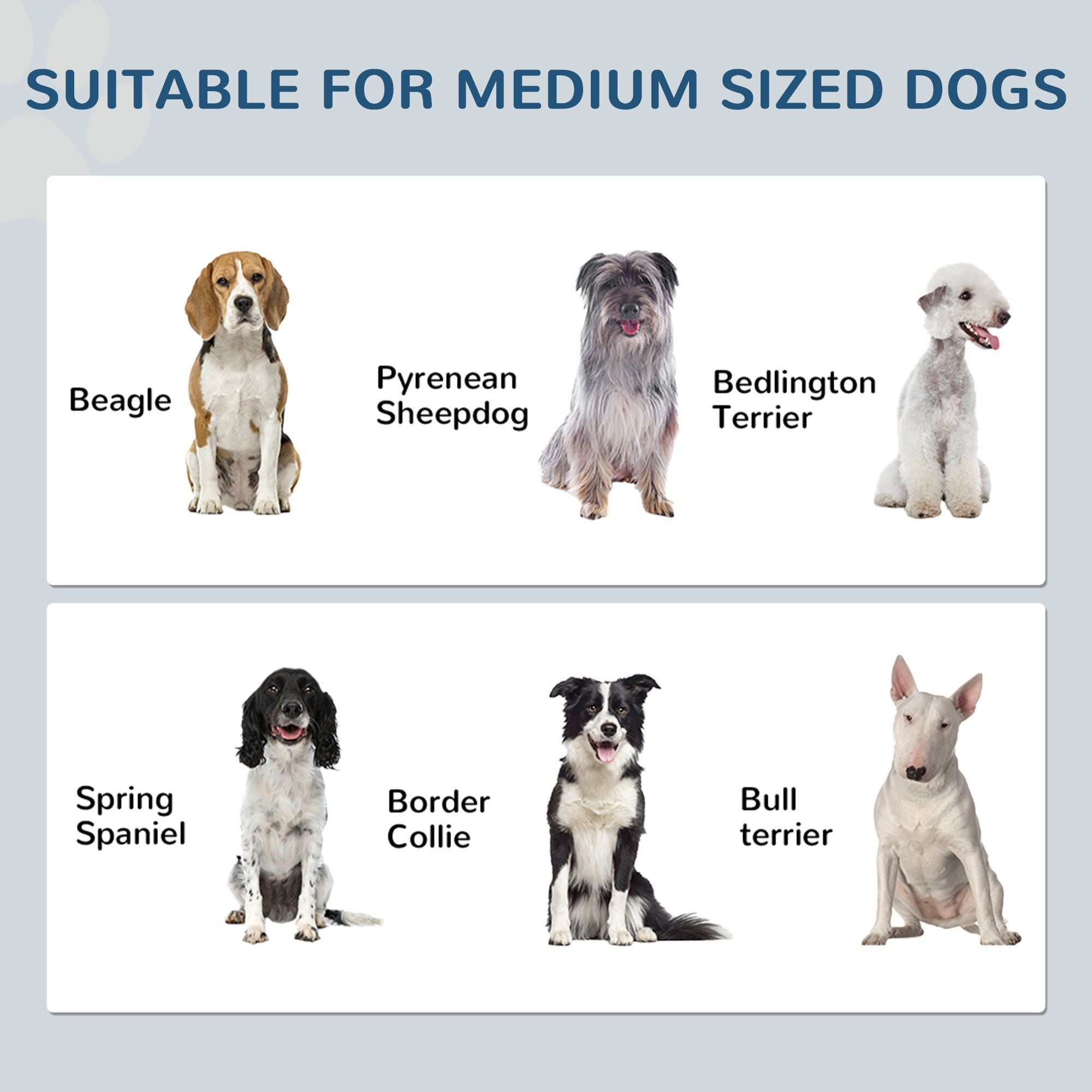 Sleek Dog Feeding Station with Hidden Bowls & Storage – White