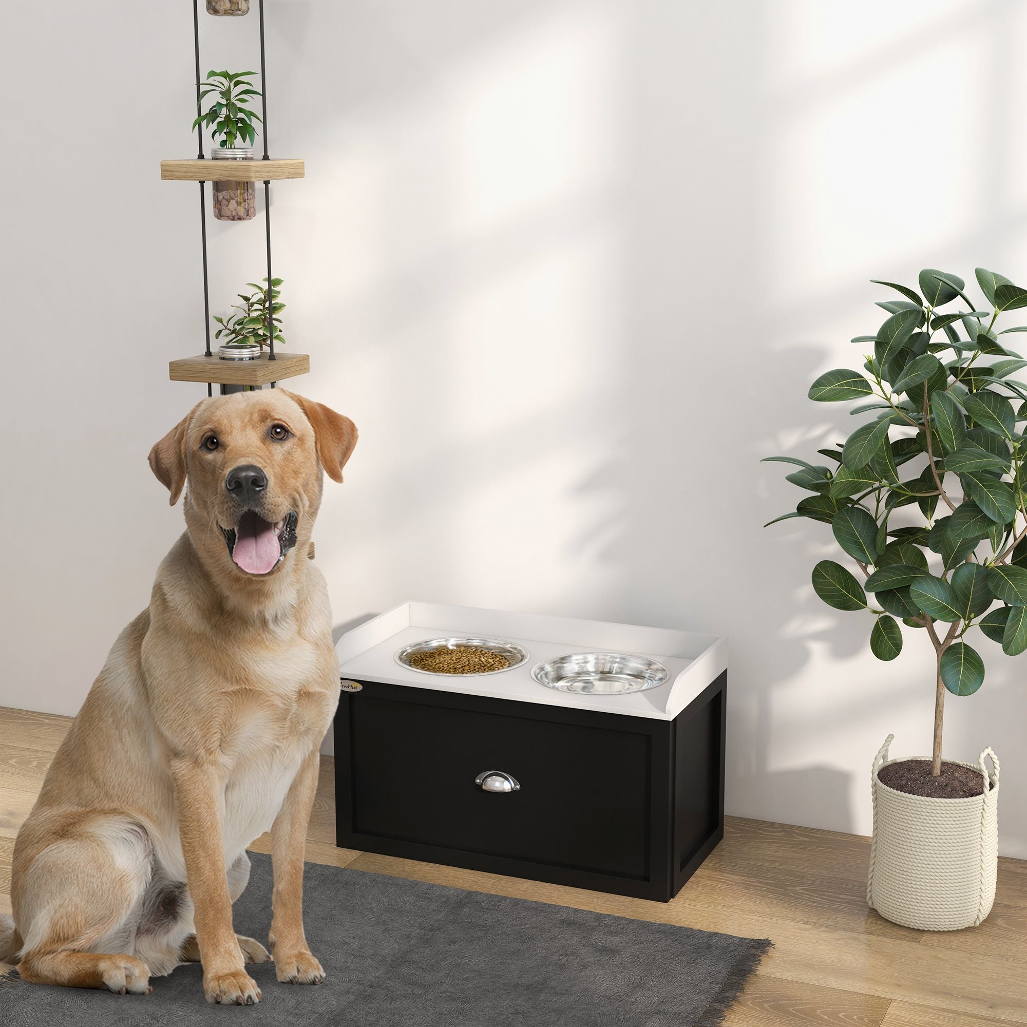 Elevate Your Dog's Mealtime with a Stylish Feeding Station & Storage