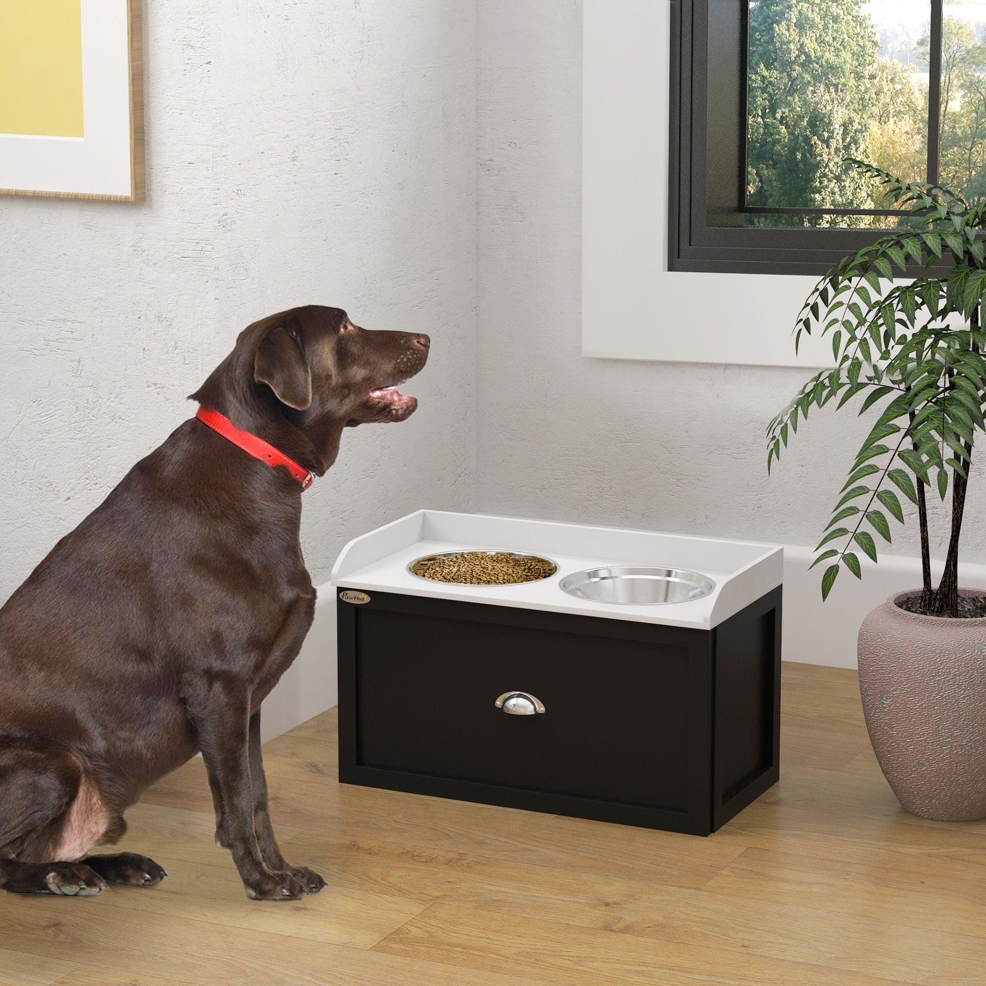 Elevate Your Dog's Mealtime with a Stylish Feeding Station & Storage