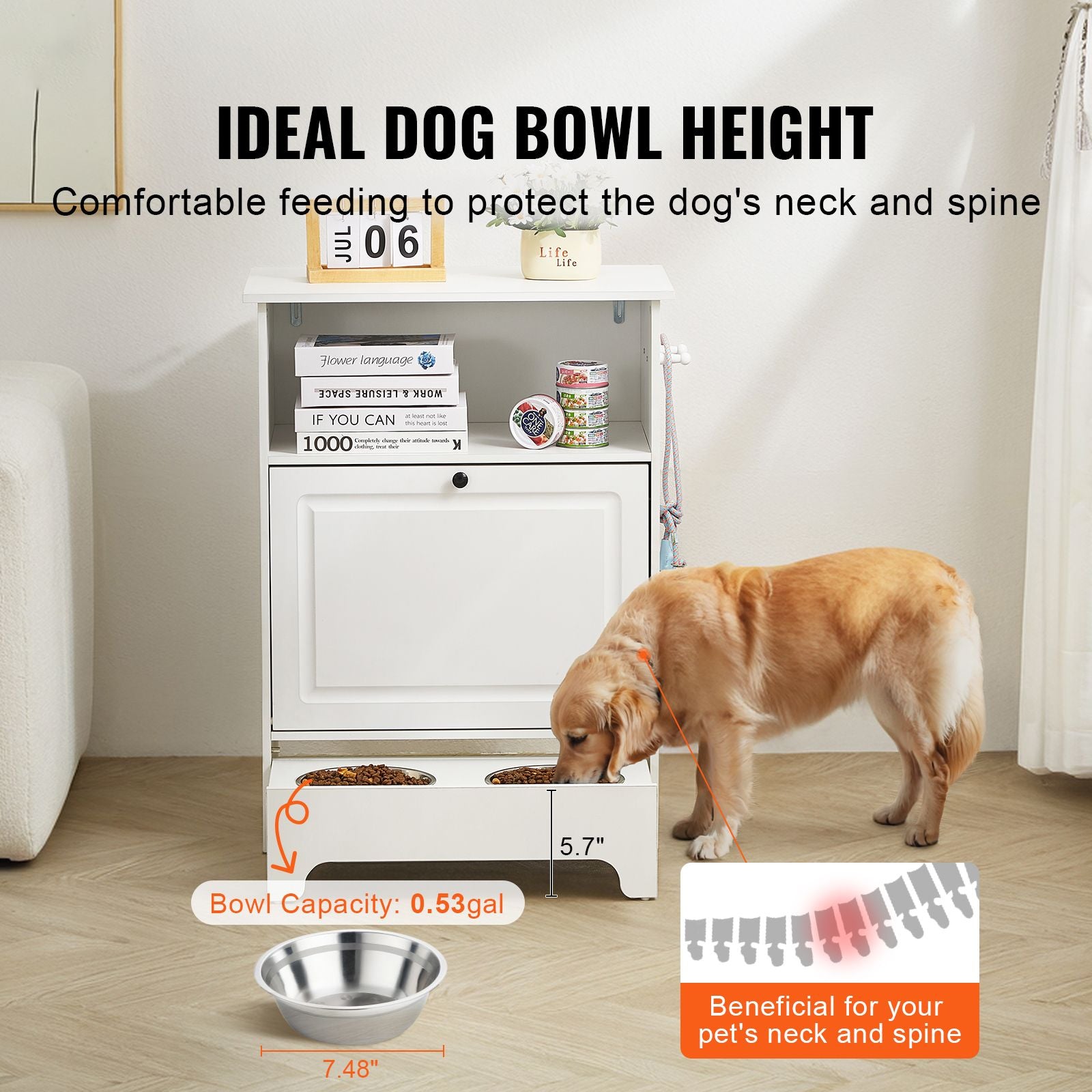 Elevate Your Pet's Mealtime with Style & Storage