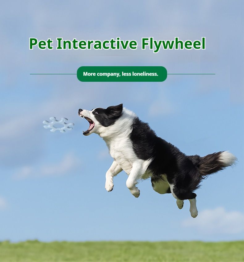 Fun Flywheel Toy for Interactive Play with Your Dog