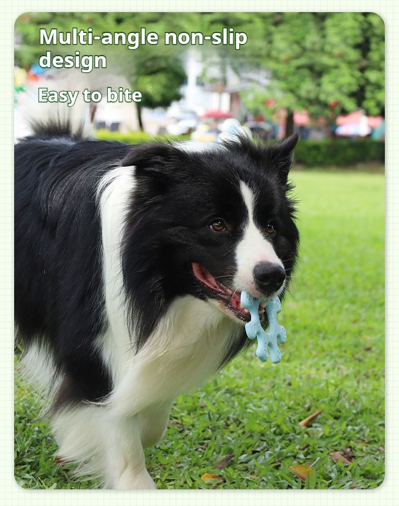 Fun Flywheel Toy for Interactive Play with Your Dog
