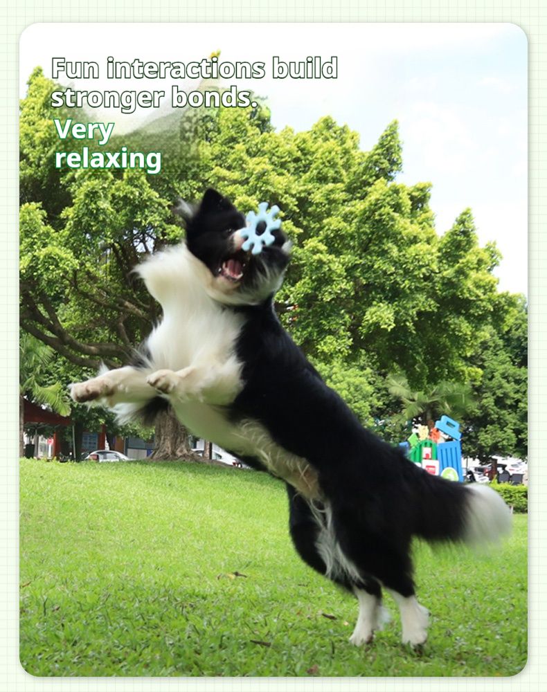 Fun Flywheel Toy for Interactive Play with Your Dog