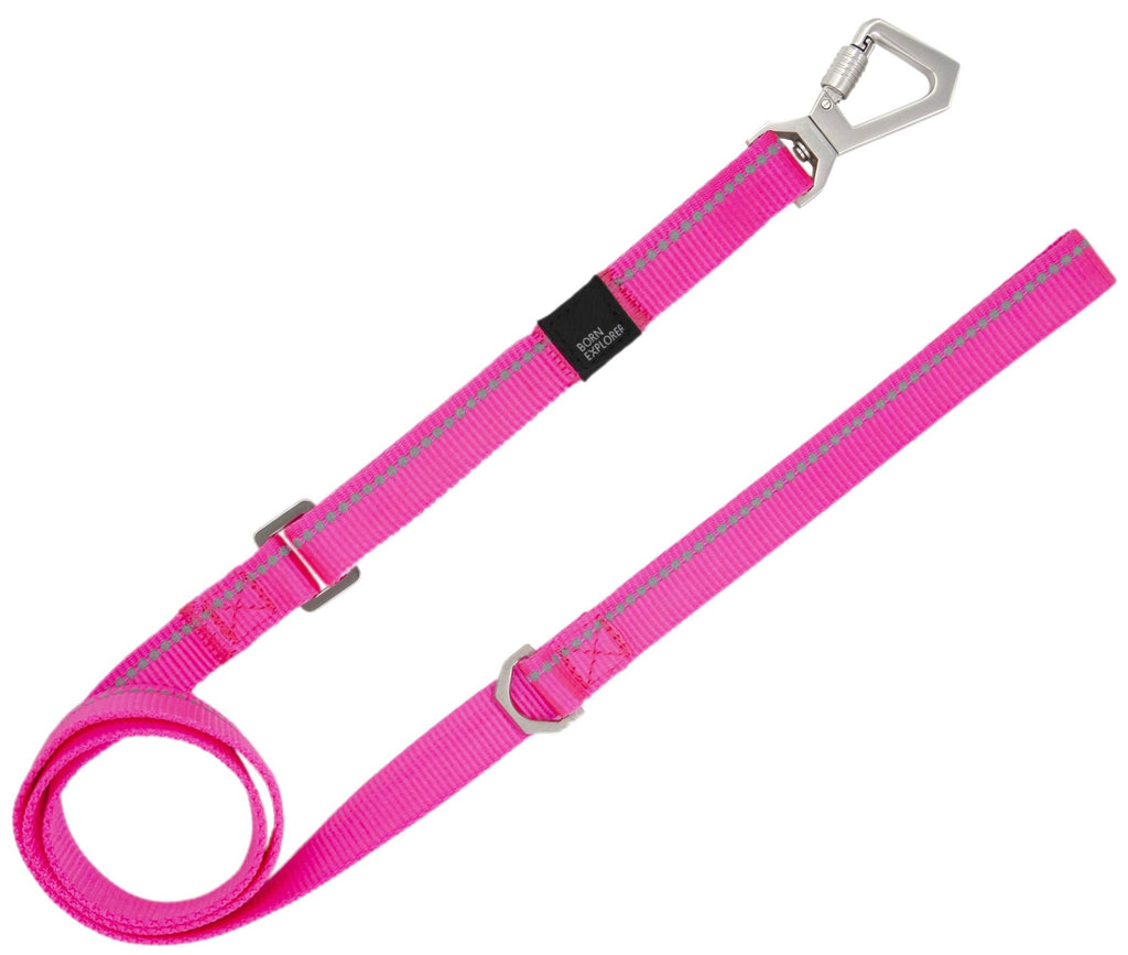 Pet Life 'Advent' Outdoor Series Reflective 2-in-1 everyday Martingale Training Dog Leash and Coll