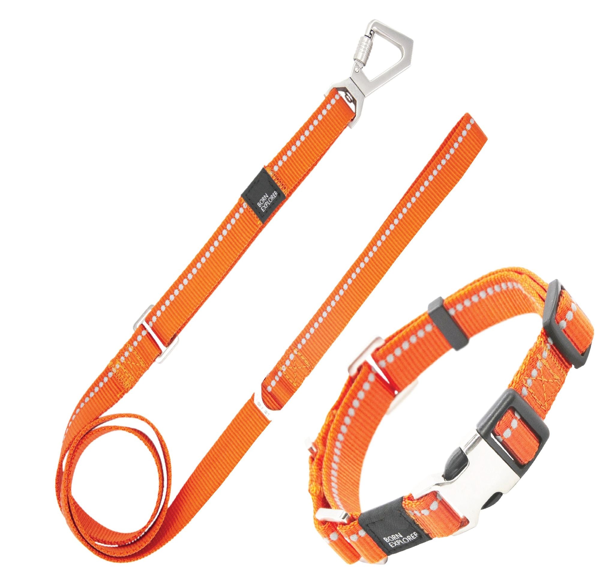 Pet Life 'Advent' Outdoor Series Reflective 2-in-1 everyday Martingale Training Dog Leash and Coll