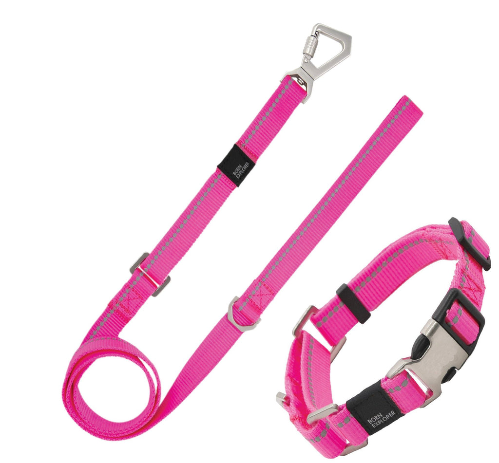 Pet Life 'Advent' Outdoor Series Reflective 2-in-1 everyday Martingale Training Dog Leash and Coll