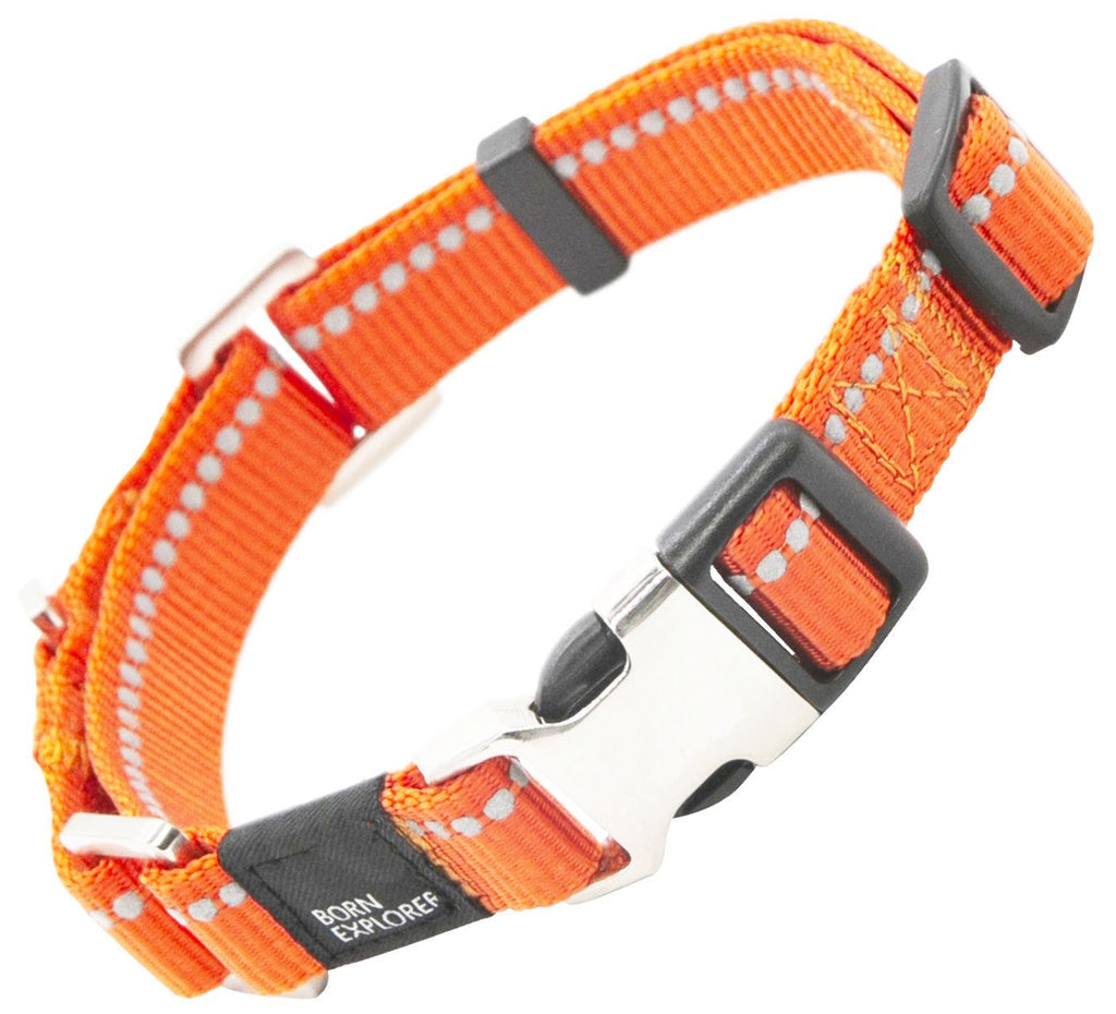 Pet Life 'Advent' Outdoor Series Reflective 2-in-1 everyday Martingale Training Dog Leash and Coll