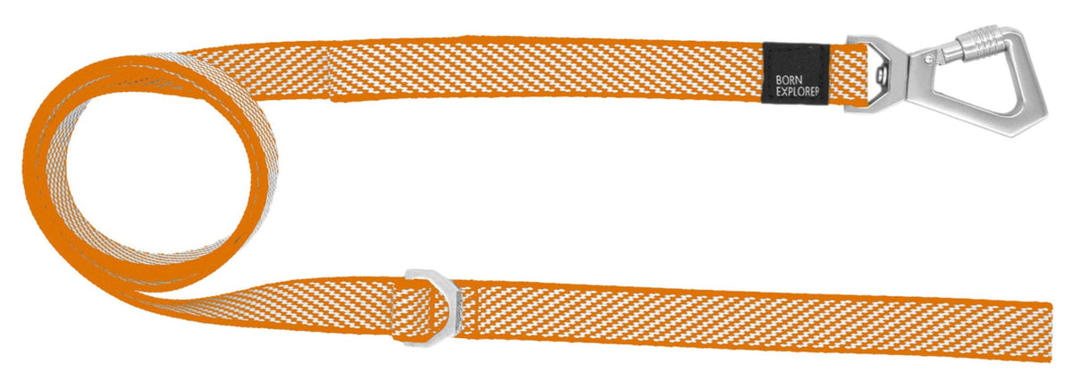2-in-1 Convertible Dog Leash and Collar for Control on Walks