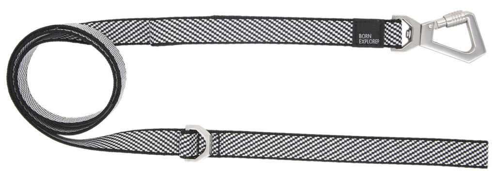 2-in-1 Convertible Dog Leash and Collar for Control on Walks