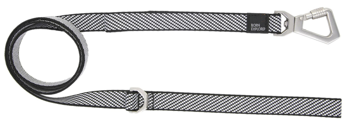 2-in-1 Convertible Dog Leash and Collar for Control on Walks
