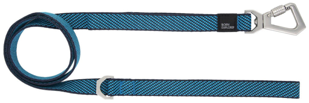 2-in-1 Convertible Dog Leash and Collar for Control on Walks