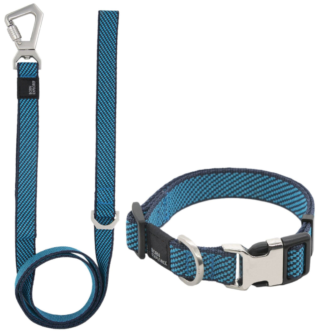 2-in-1 Convertible Dog Leash and Collar for Control on Walks