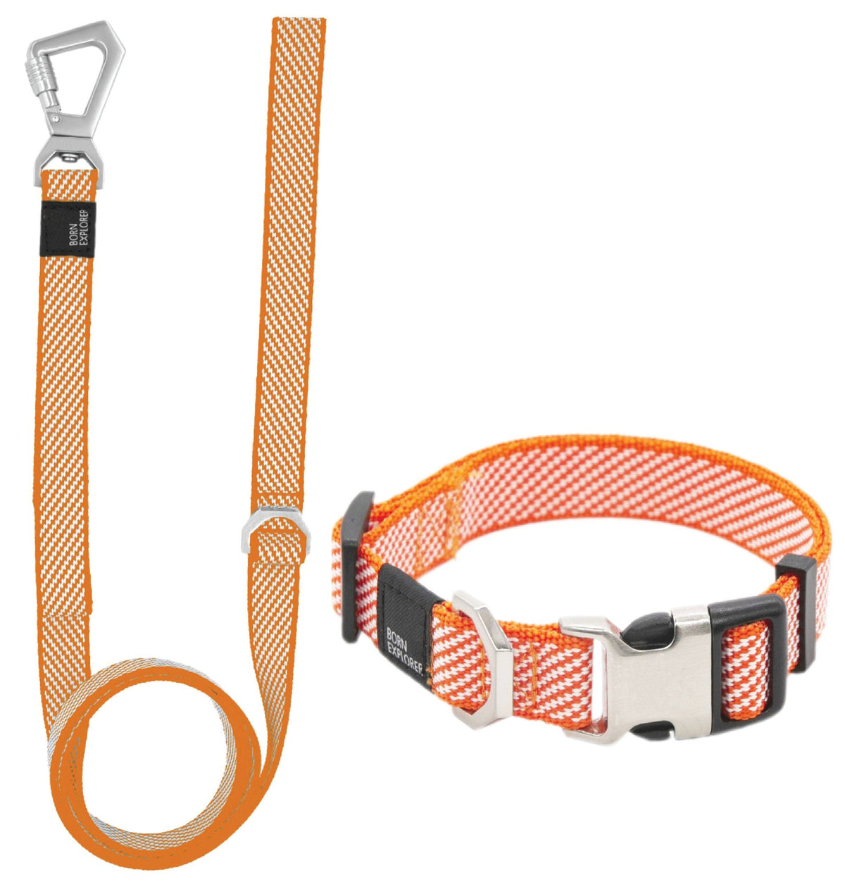2-in-1 Convertible Dog Leash and Collar for Control on Walks