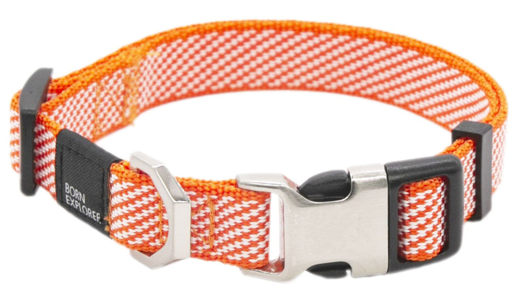 2-in-1 Convertible Dog Leash and Collar for Control on Walks