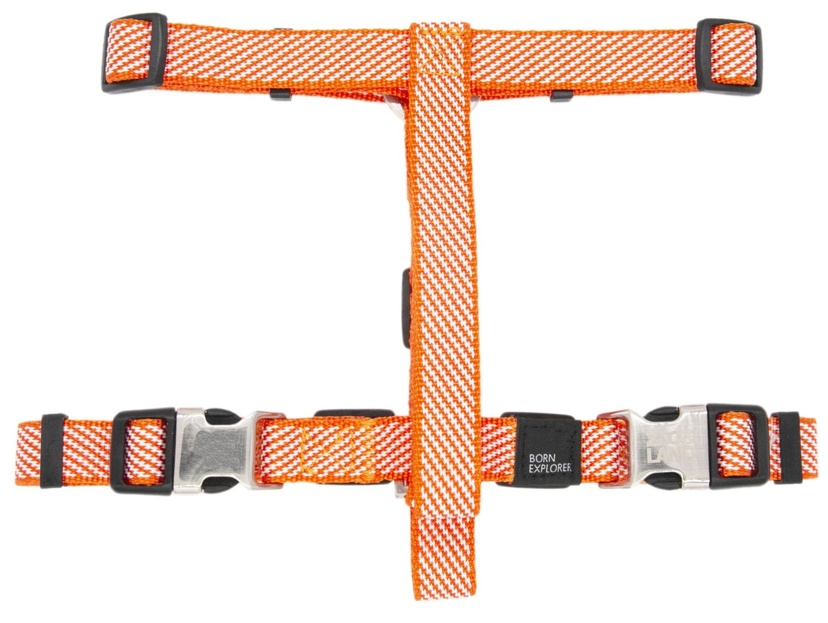 2-in-1 Convertible Dog Leash and Harness with Adjustable Pull Loop