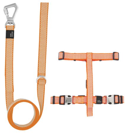 2-in-1 Convertible Dog Leash and Harness with Adjustable Pull Loop