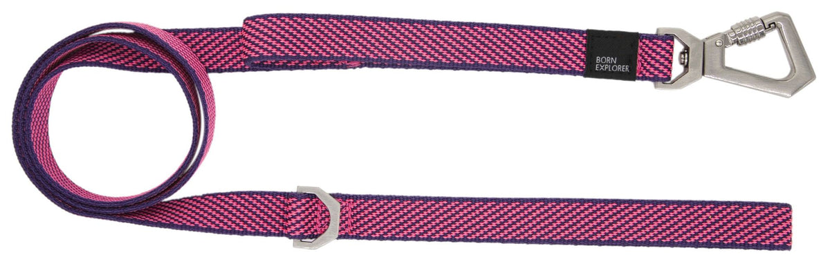 2-in-1 Convertible Dog Leash and Harness with Adjustable Pull Loop