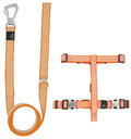 2-in-1 Convertible Dog Leash and Harness with Adjustable Pull Loop