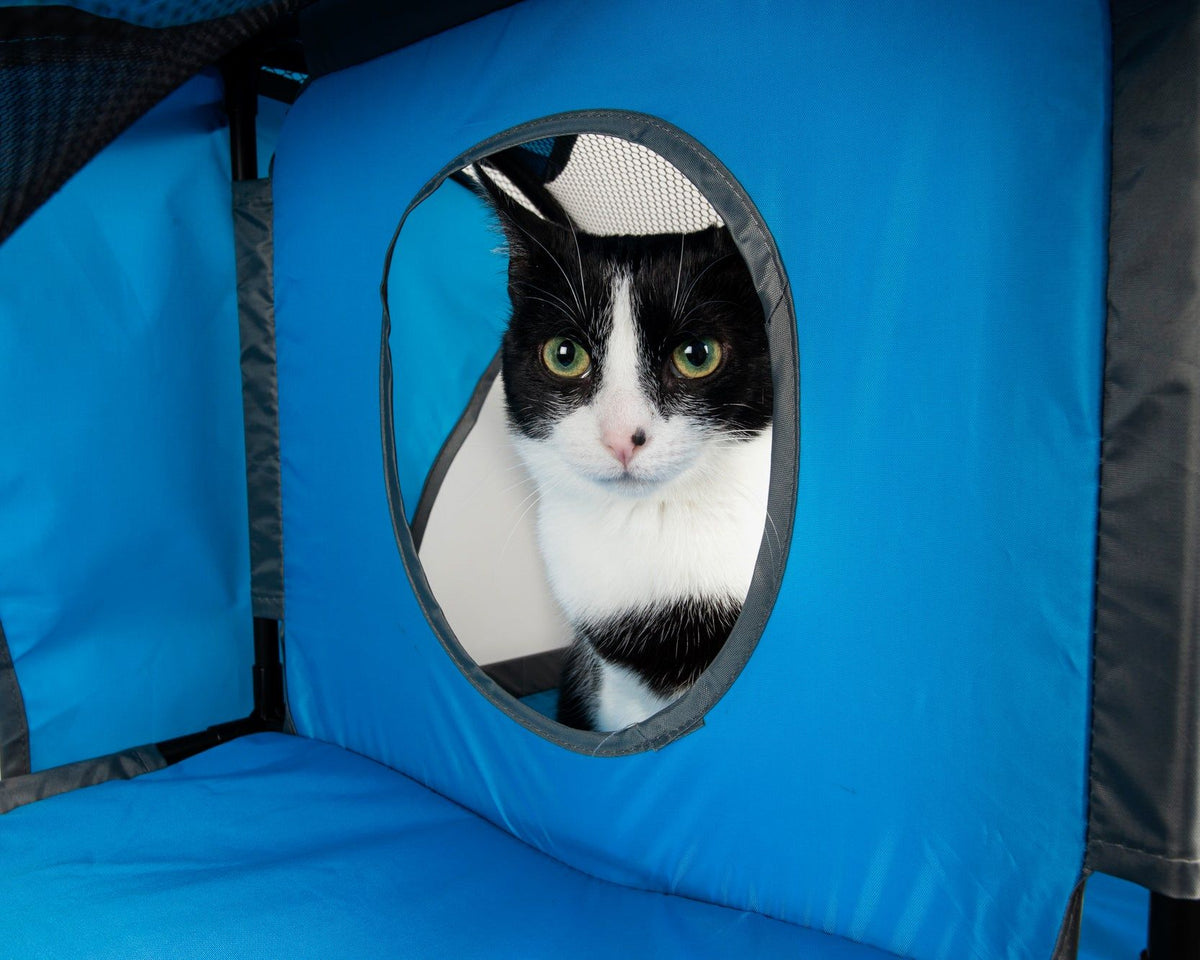 Collapsible Obstacle Cat House for Play and Lounging