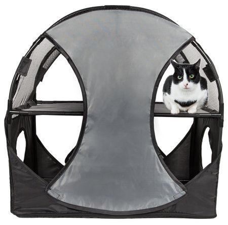 Collapsible Obstacle Cat House for Play and Lounging