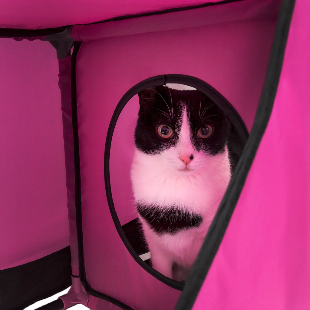 Collapsible Obstacle Cat House for Play and Lounging