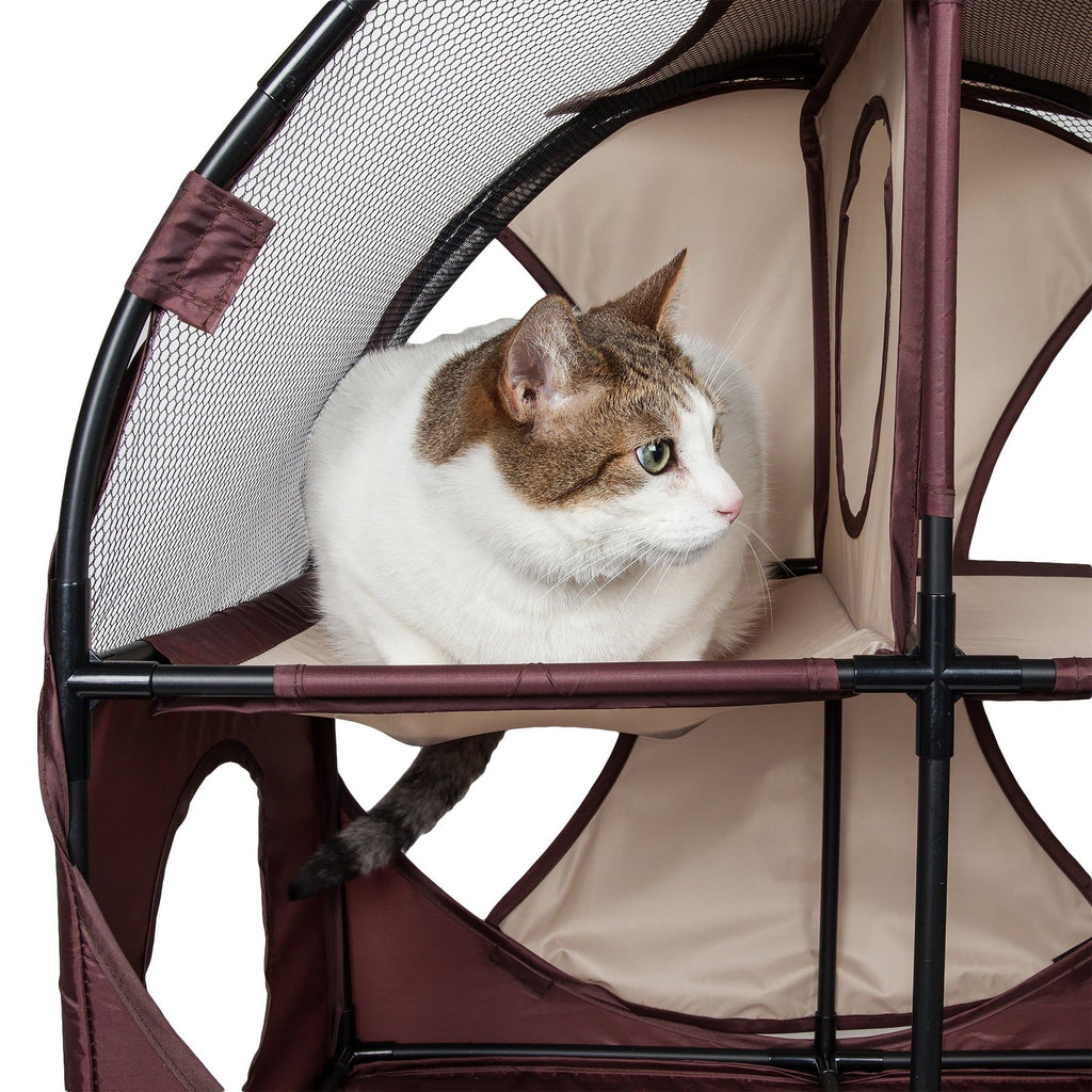 Collapsible Obstacle Cat House for Play and Lounging