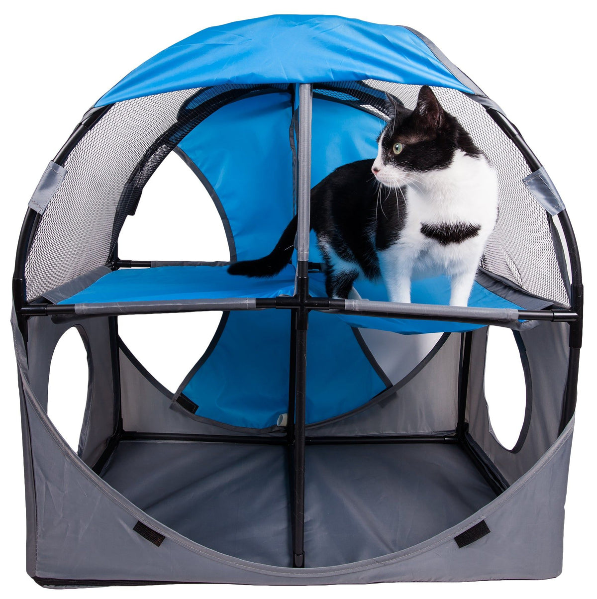 Collapsible Obstacle Cat House for Play and Lounging