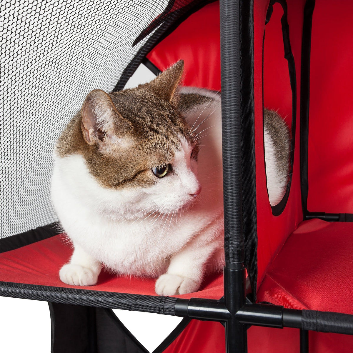 Collapsible Obstacle Cat House for Play and Lounging