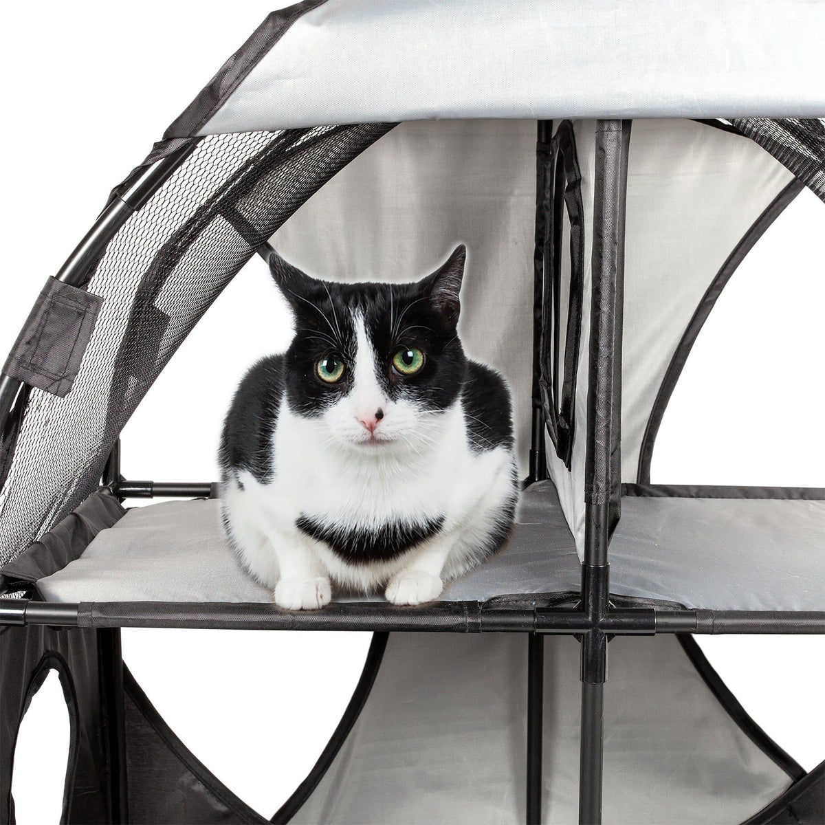 Collapsible Obstacle Cat House for Play and Lounging