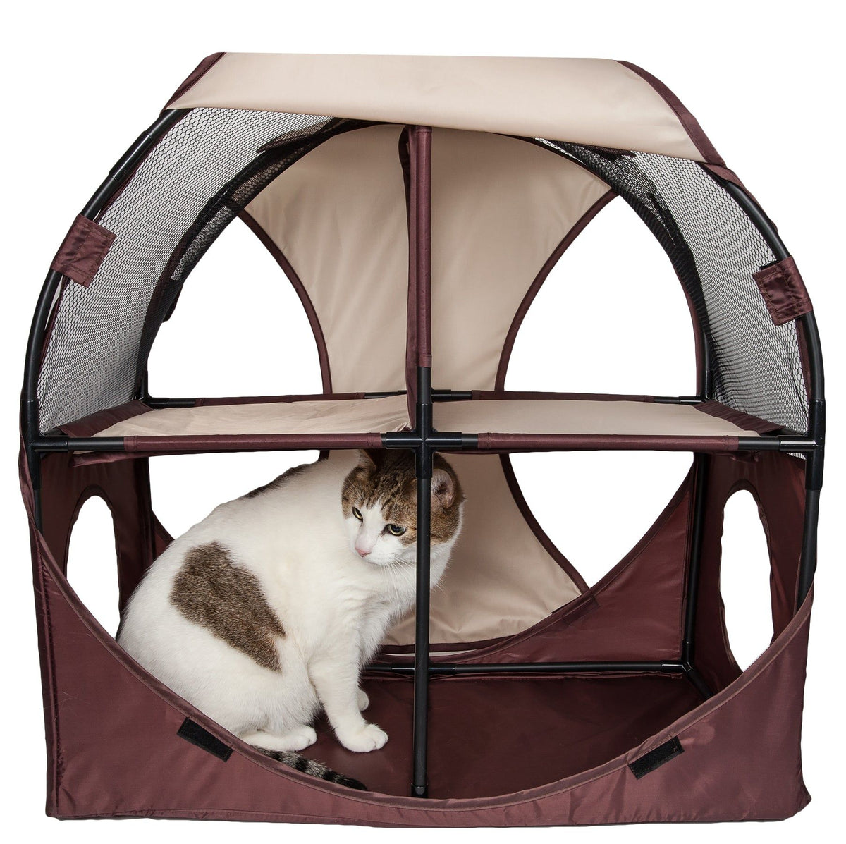 Collapsible Obstacle Cat House for Play and Lounging