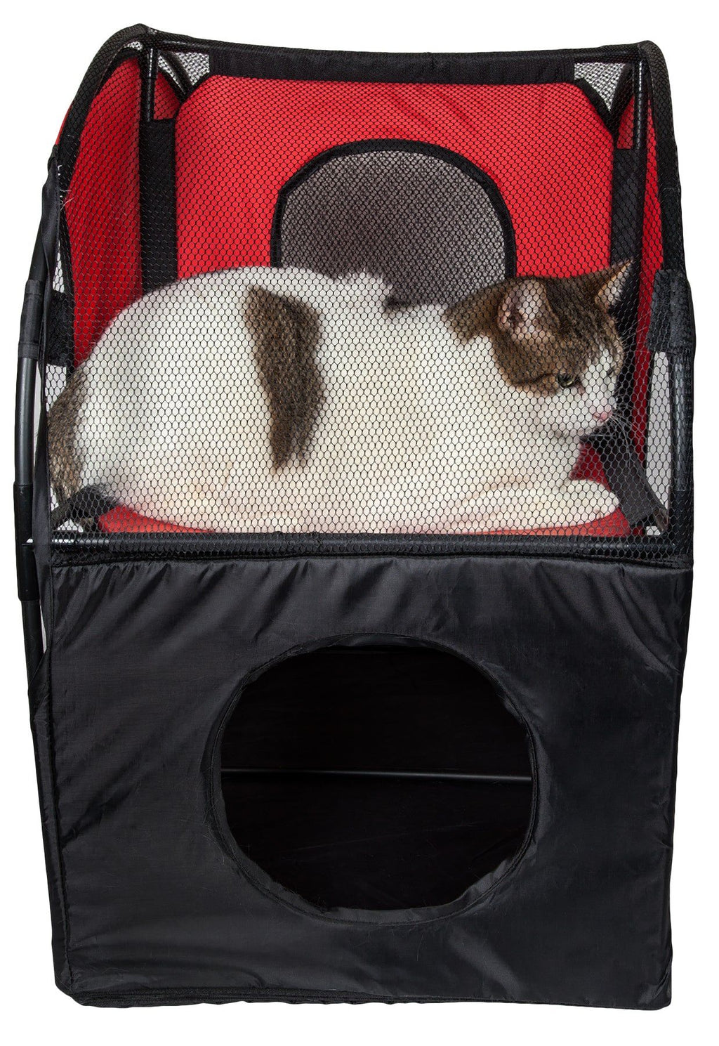 Collapsible Obstacle Cat House for Play and Lounging