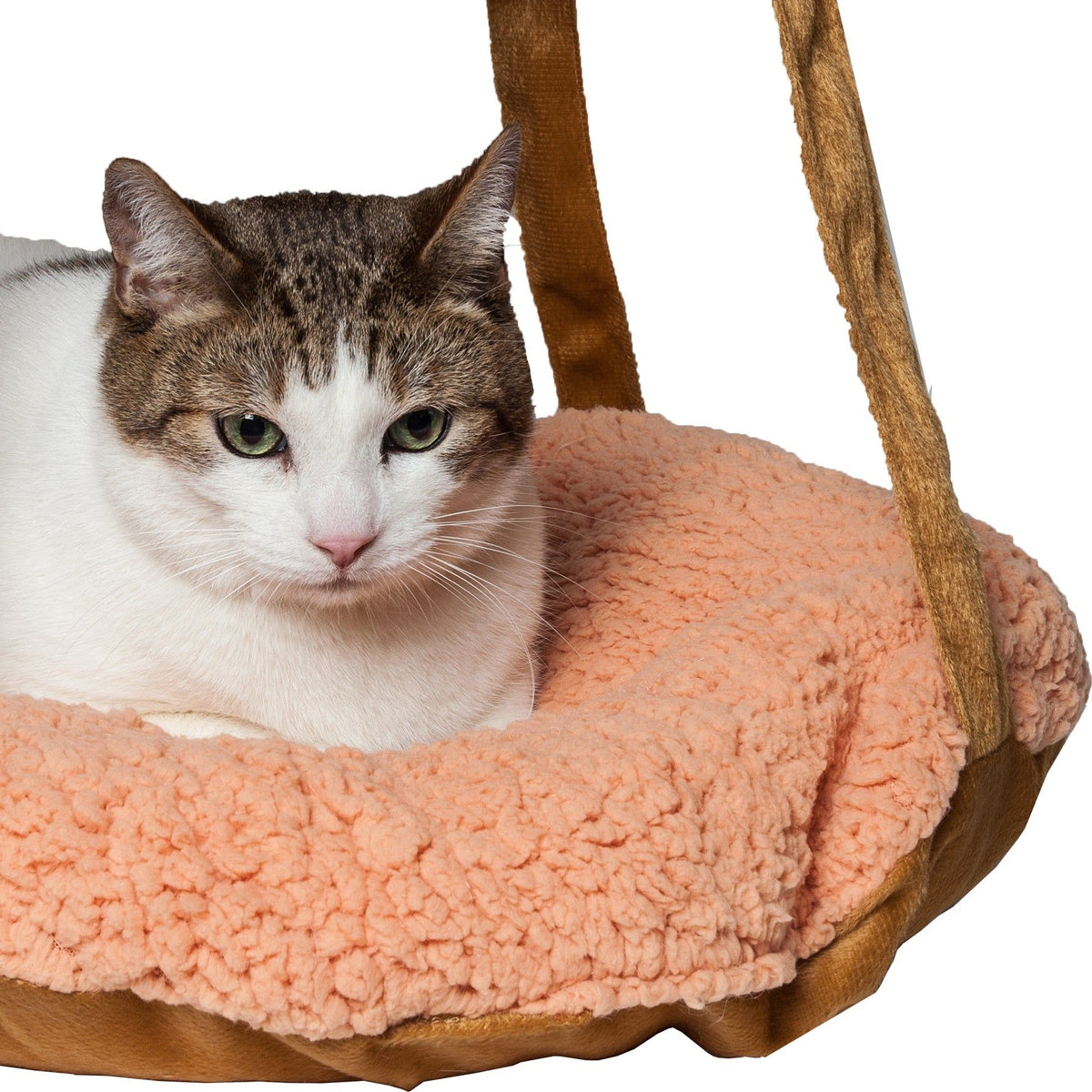 Dual-Sided Reversible Cat Hammock Lounge for Wall or Ceiling Hanging