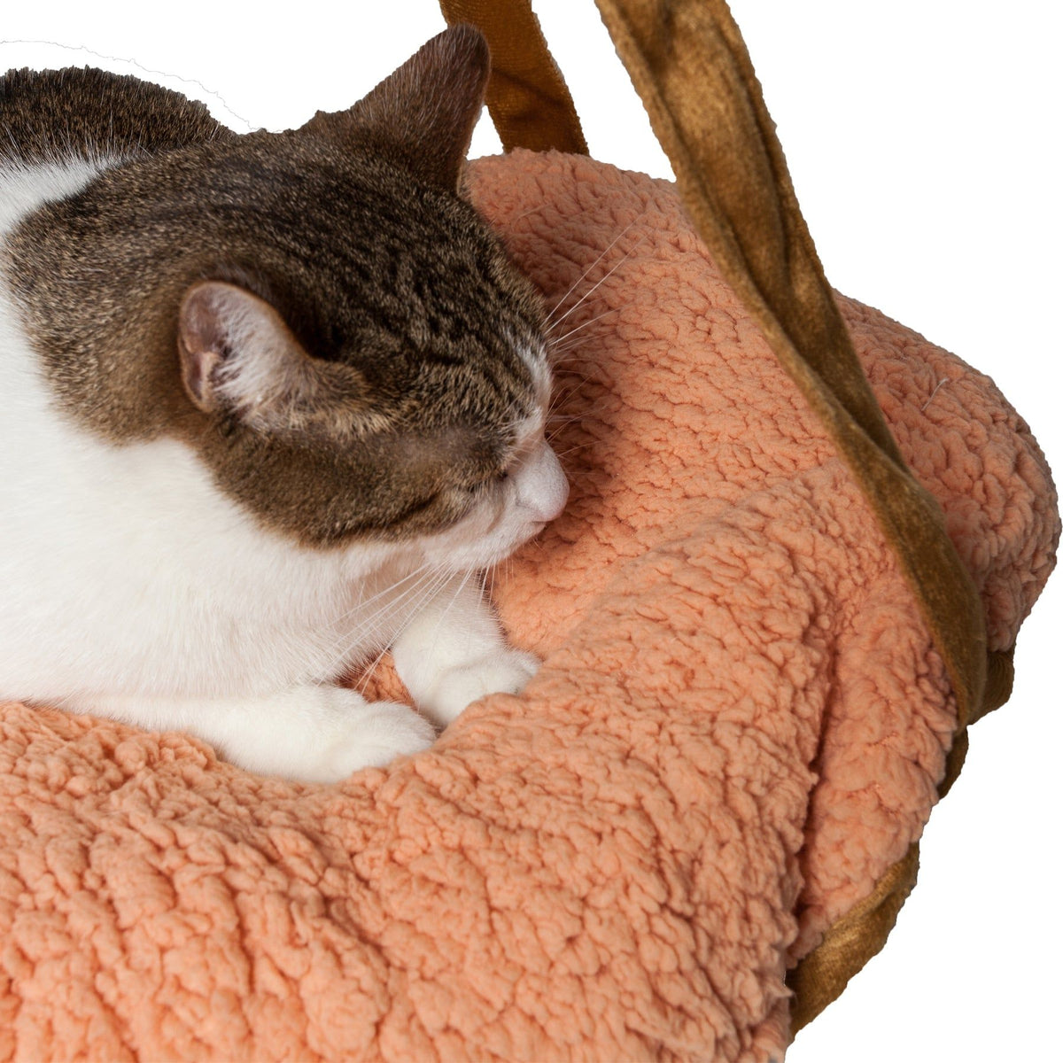 Dual-Sided Reversible Cat Hammock Lounge for Wall or Ceiling Hanging