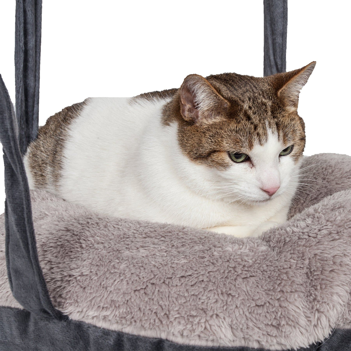 Dual-Sided Reversible Cat Hammock Lounge for Wall or Ceiling Hanging