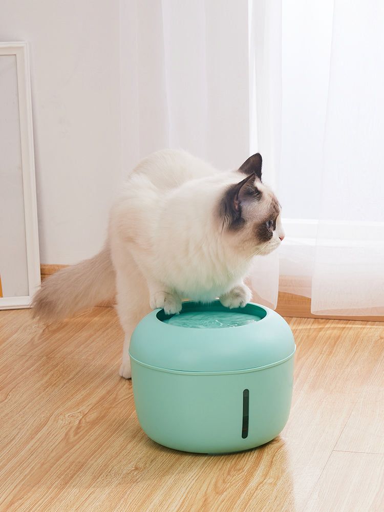 Ultra-Quiet Filtered Water Fountain for Dogs and Cats