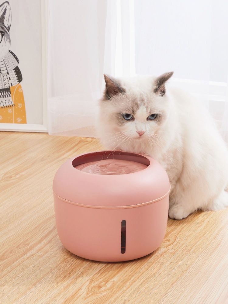 Ultra-Quiet Filtered Water Fountain for Dogs and Cats