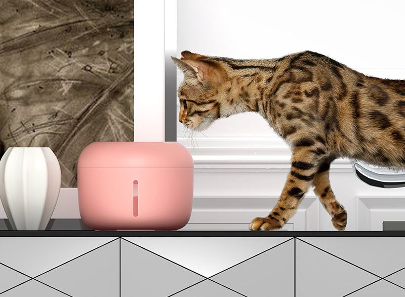 Ultra-Quiet Filtered Water Fountain for Dogs and Cats