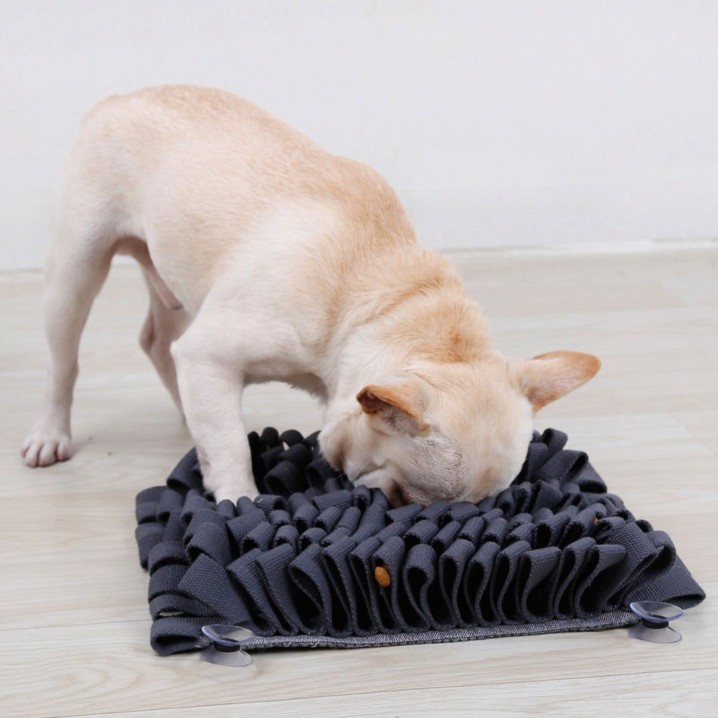 Sniffer Grip Interactive Snuffle Mat with Suction Grips