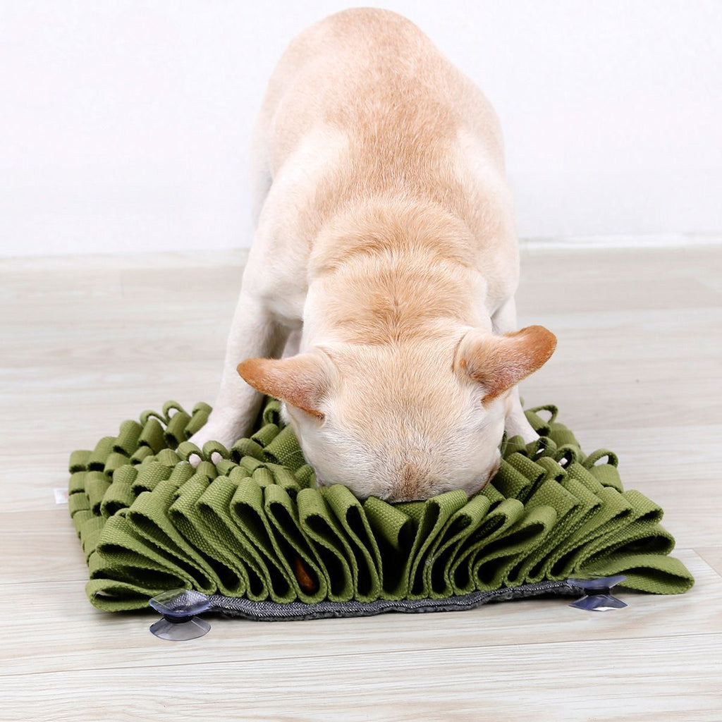 Sniffer Grip Interactive Snuffle Mat with Suction Grips