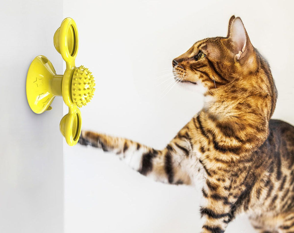 Pet Life Windmill Rotating Suction Cup Cat Toy