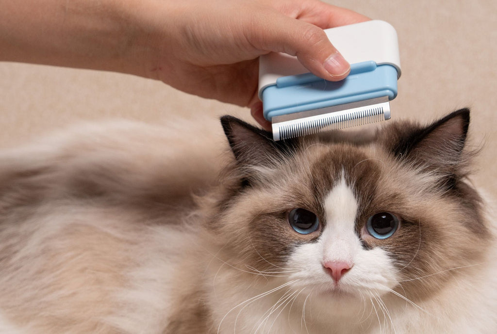 2-in-1 Undercoat Rake and Stainless Steel Travel Pet Comb