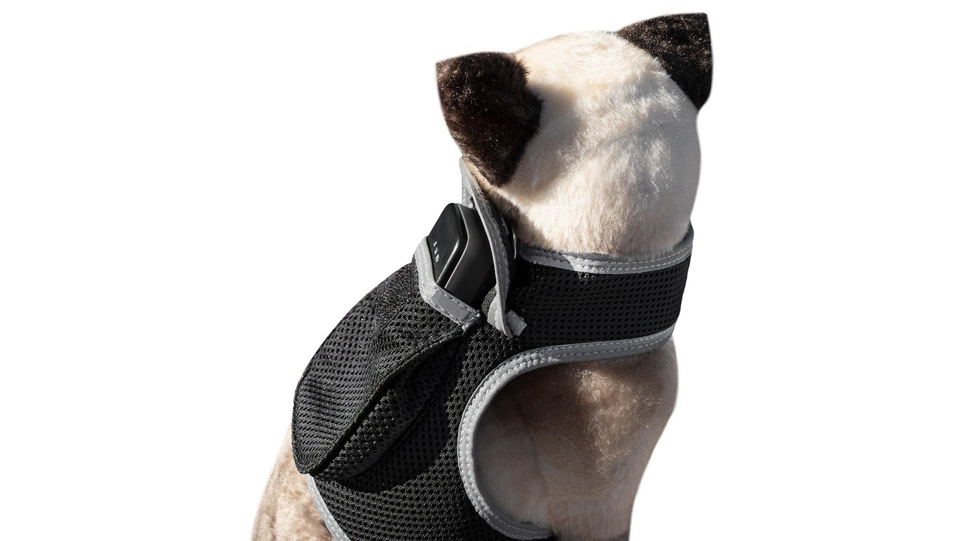 Track Your Pet in Real-Time with a Comfortable, Affordable GPS Harness