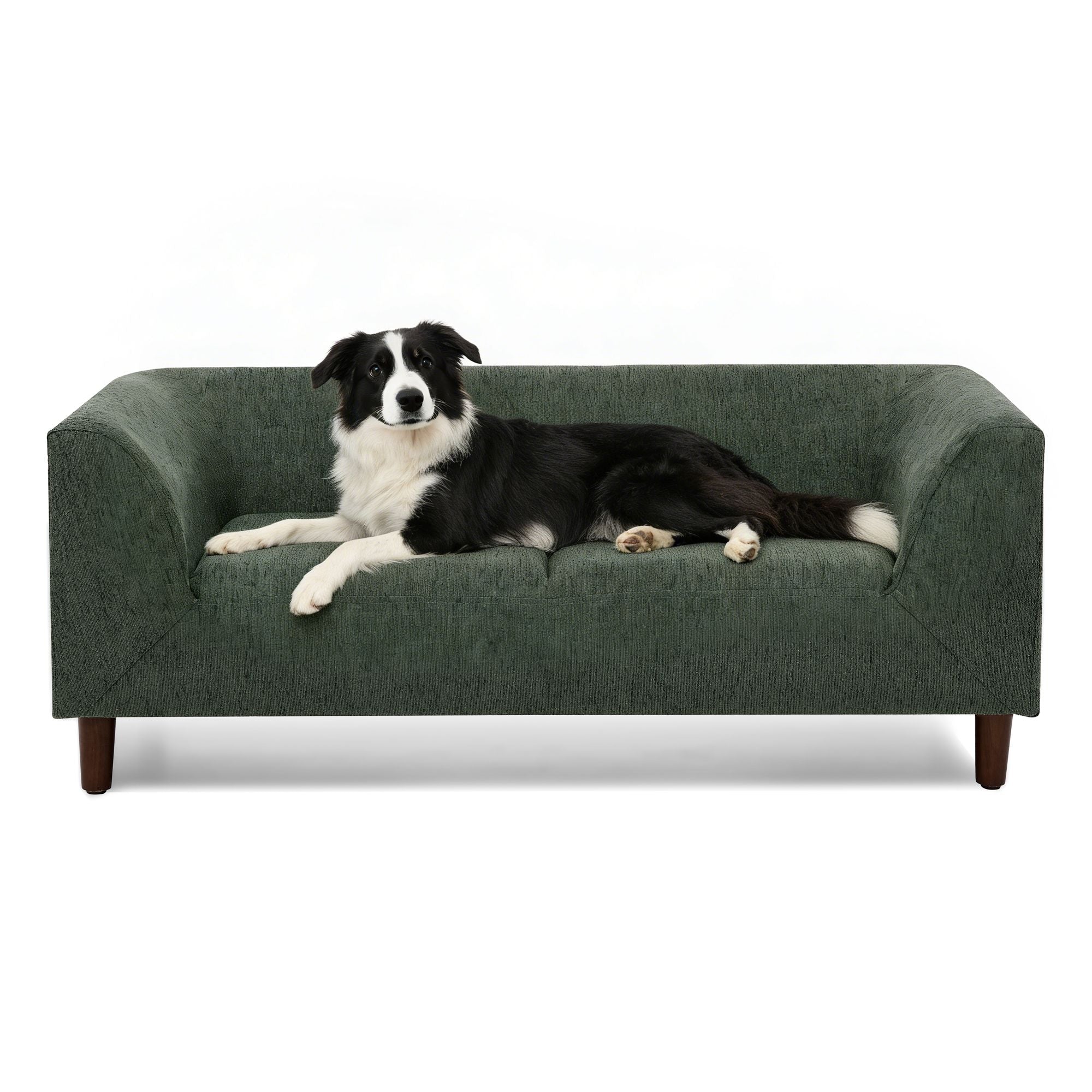 Give Your Pup Their Own Cozy Olive Green Sofa with Backrest & Armrests