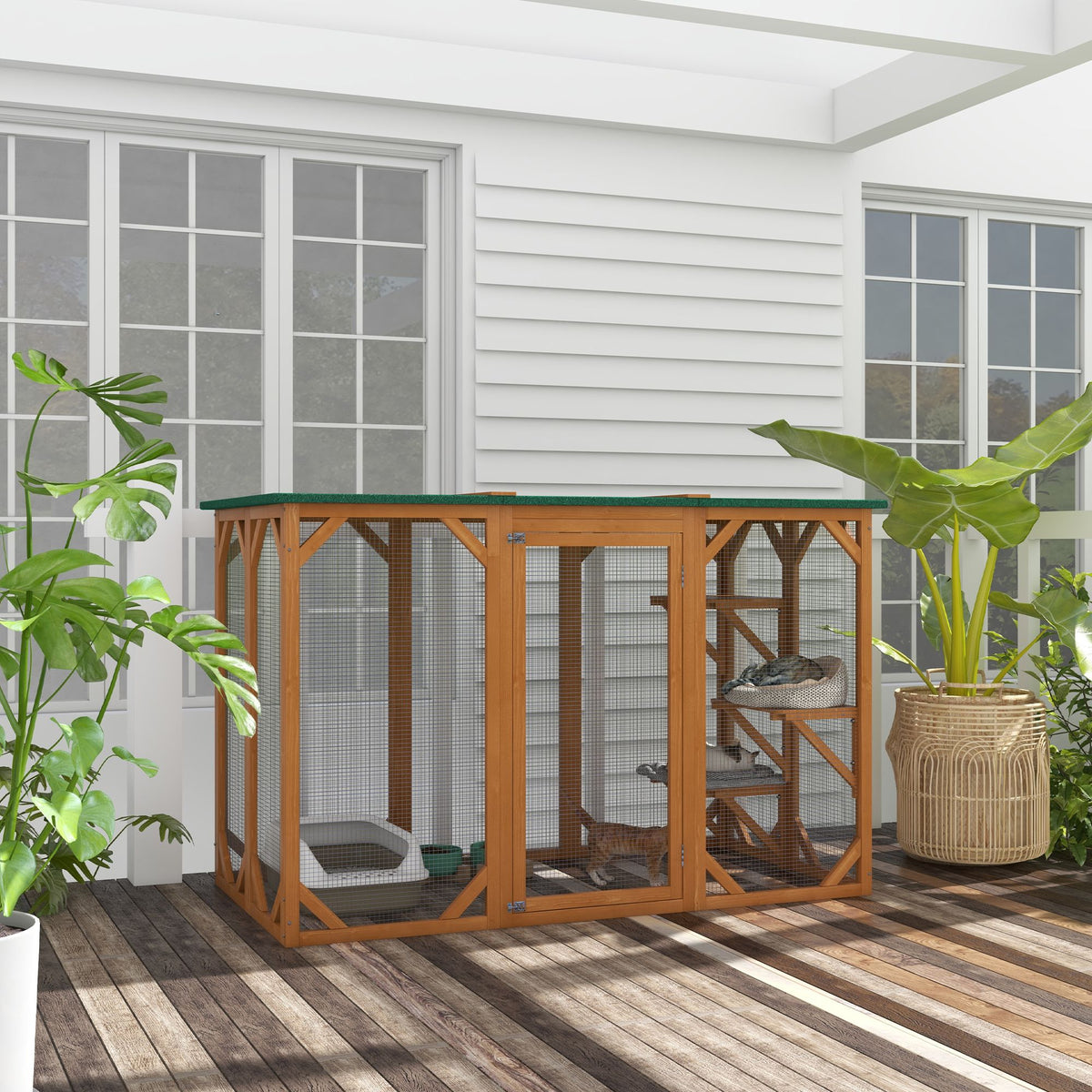 Multi-Level Cat Enclosure with Platforms and Wide Entry