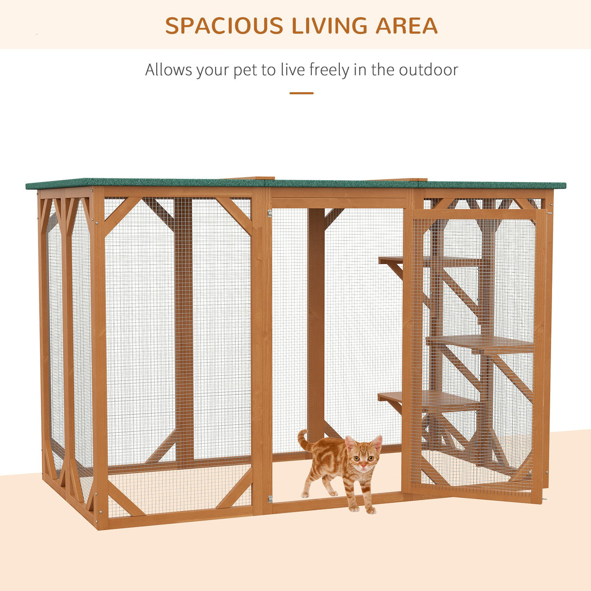 Multi-Level Cat Enclosure with Platforms and Wide Entry